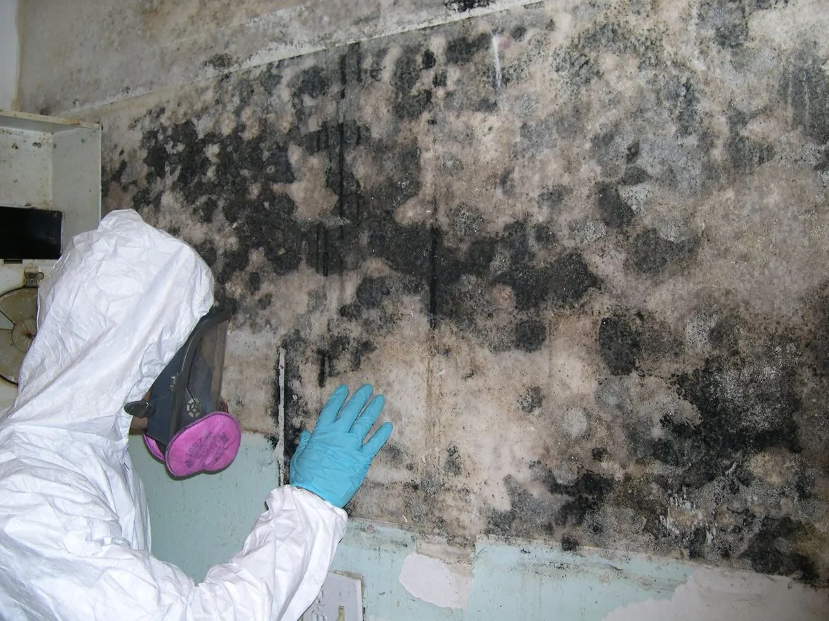 Restoration professional assessing severe mold damage on interior wall